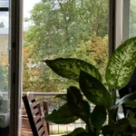 Office flower