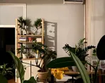 Office flower